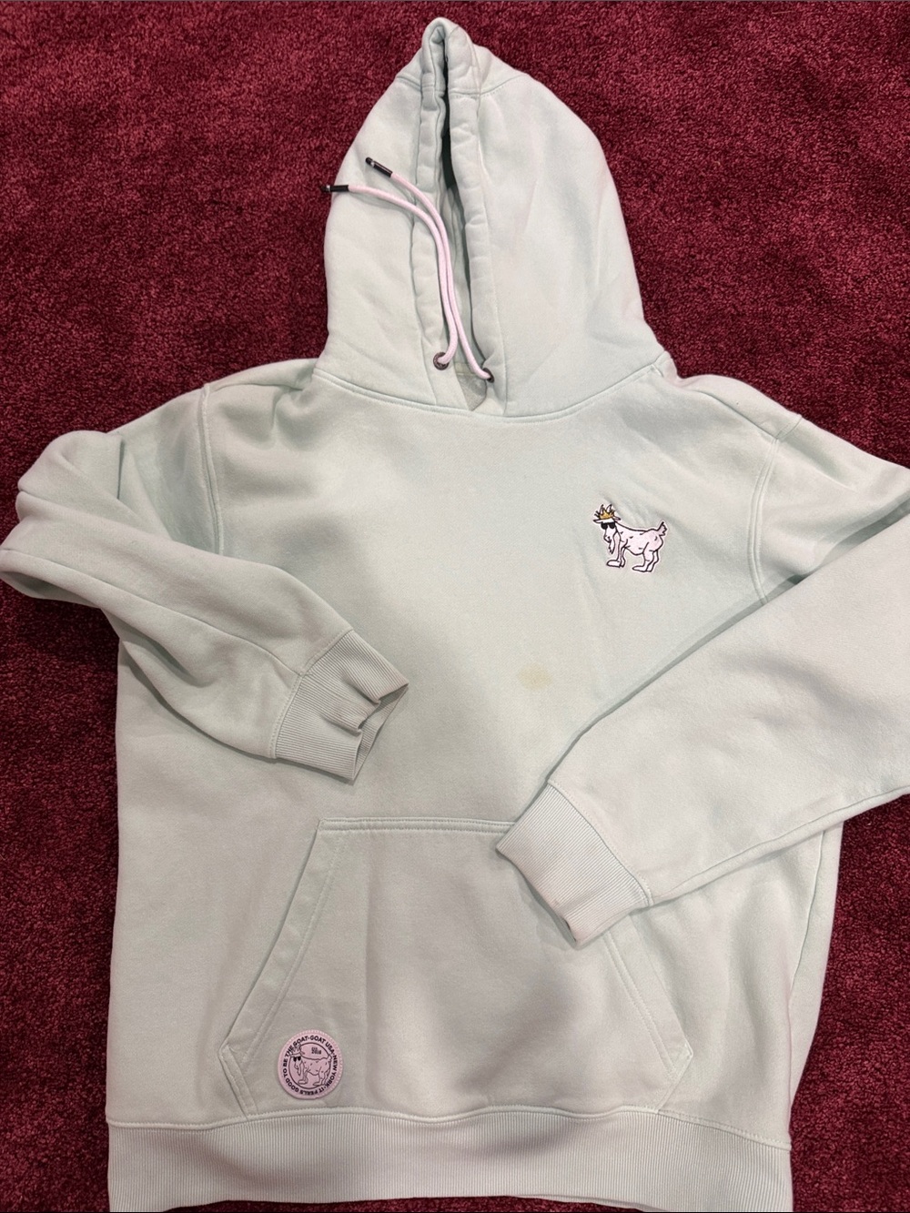 Kids Light Mint Hoodie with Embroidered Dog Accent